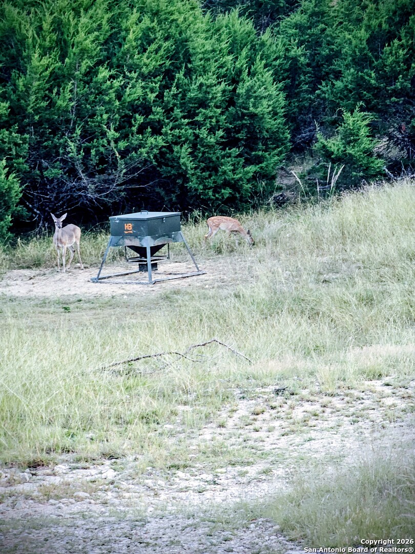 4462 Cr 390 Camp Wood TX 78828