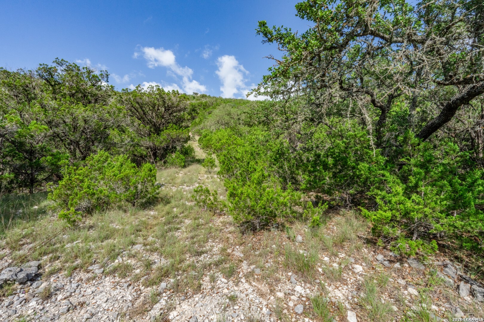 630 Evans Creek Road Vanderpool TX 78885
