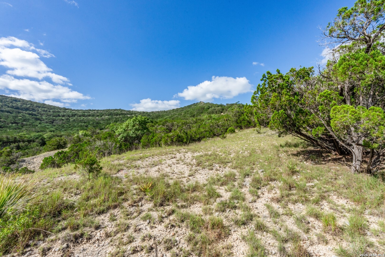 630 Evans Creek Road Vanderpool TX 78885