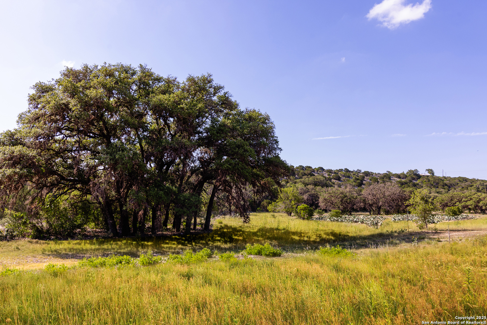 14910 Bullhead Road Rocksprings TX 78880