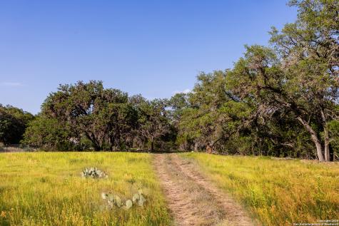 14910 Bullhead Road Rocksprings TX 78880