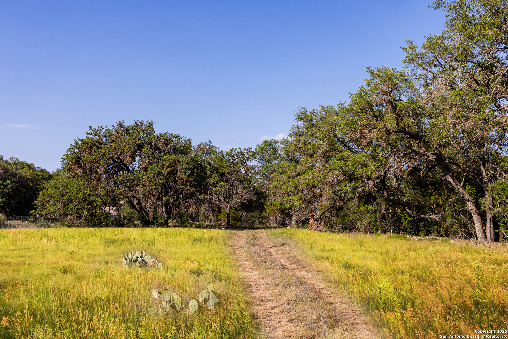14910 Bullhead Road Rocksprings TX 78880