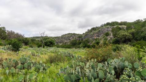 7772 Cedar Creek Road Brackettville TX 78832