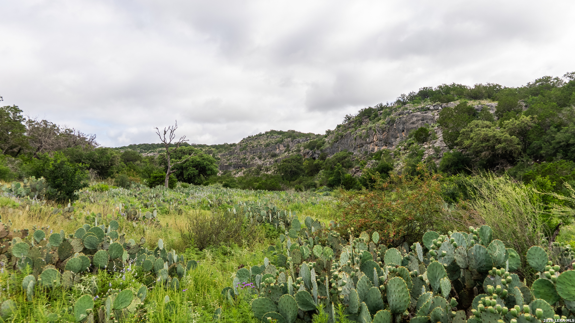 7772 Cedar Creek Road Brackettville TX 78832
