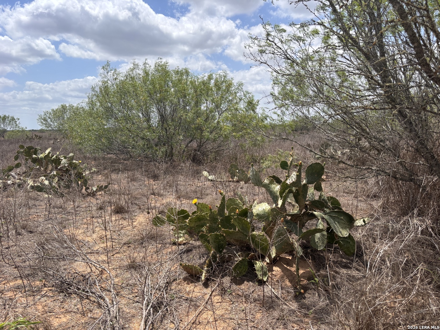 0 County Road 239 TX 78349