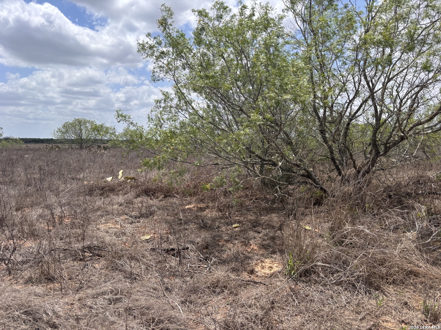0 County Road 239 TX 78349
