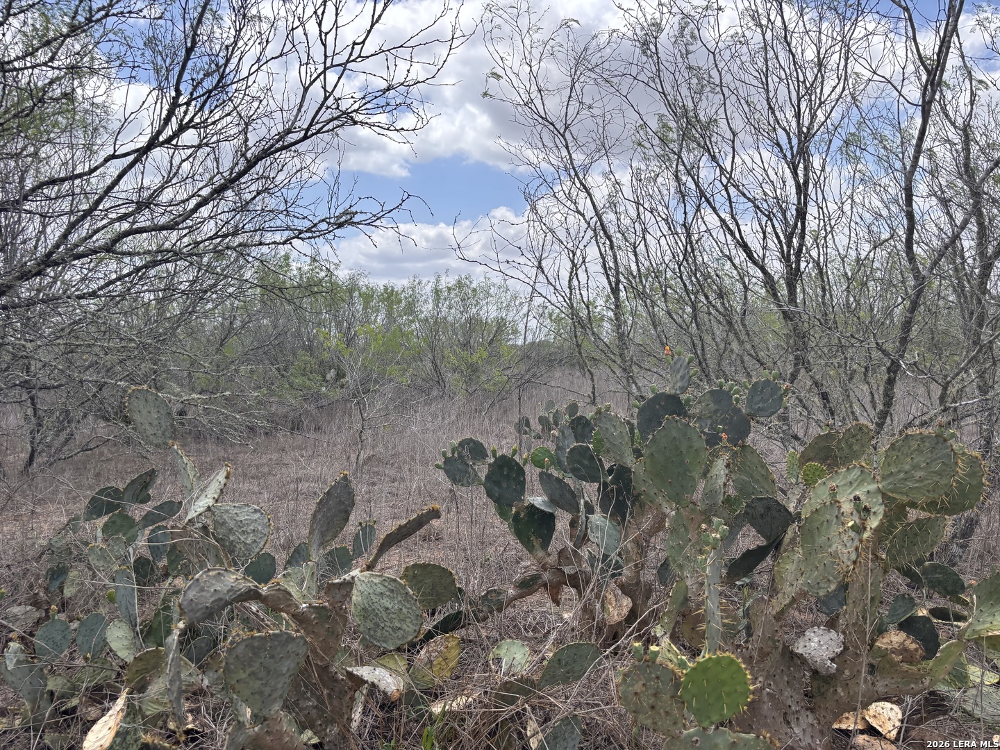 0 County Road 239 TX 78349