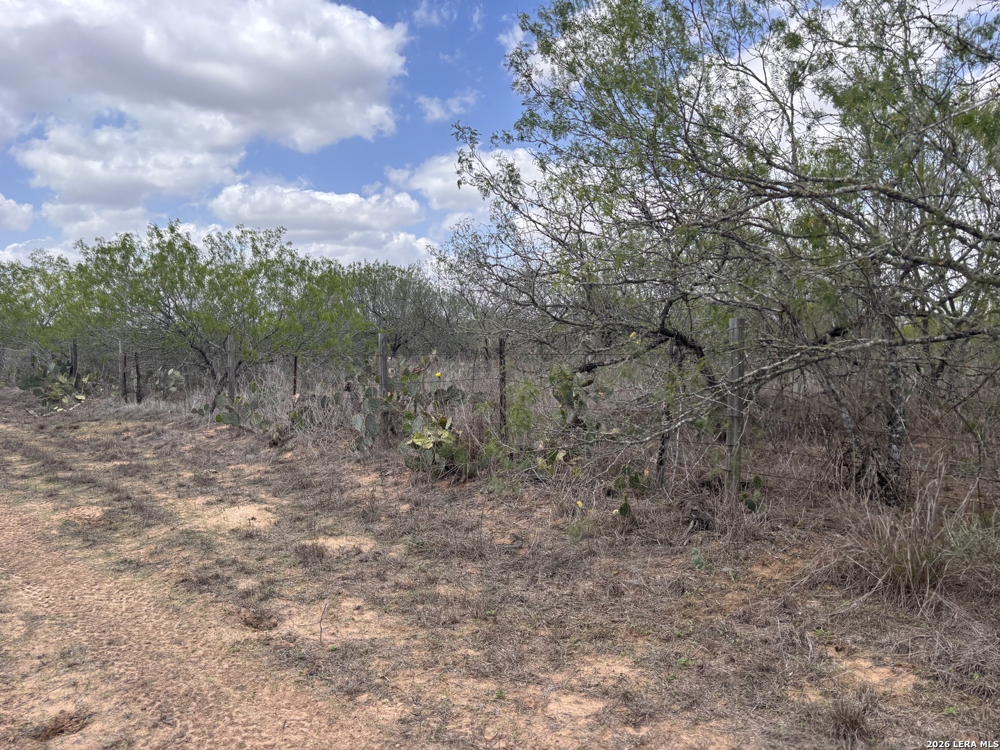 0 County Road 239 TX 78349