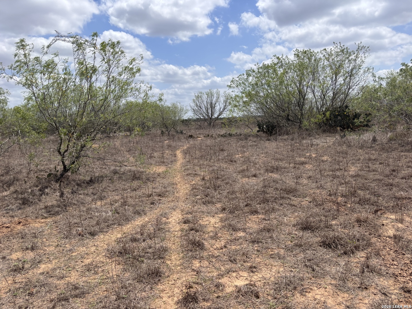 0 County Road 239 TX 78349