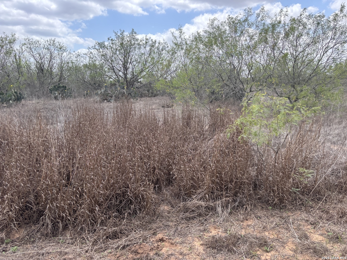 0 County Road 239 TX 78349
