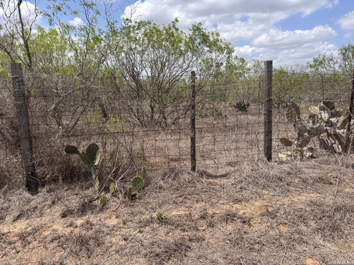 0 County Road 239 TX 78349
