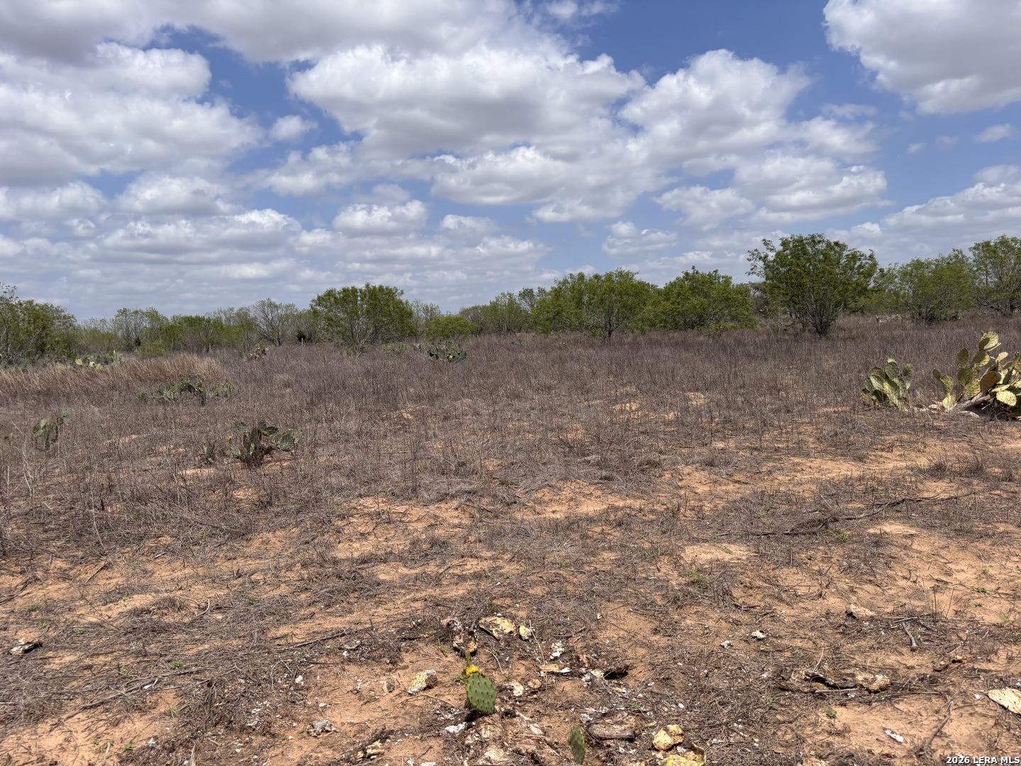 0 County Road 239 TX 78349