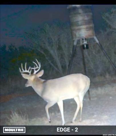 000 Highway 359-easement Realitos TX 78376