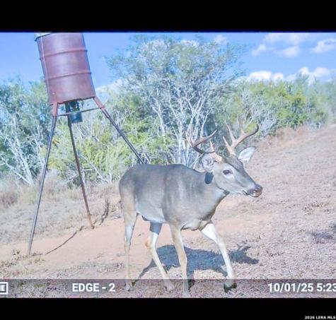 000 Highway 359-easement Realitos TX 78376