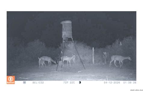 000 Highway 359-easement Realitos TX 78376