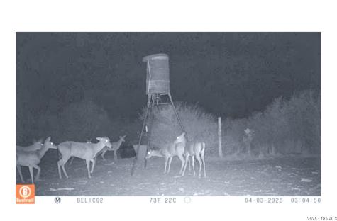 000 Highway 359-easement Realitos TX 78376