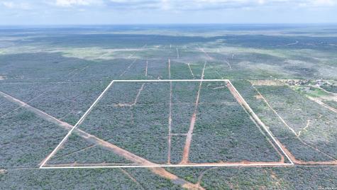 000 Highway 359-easement Realitos TX 78376