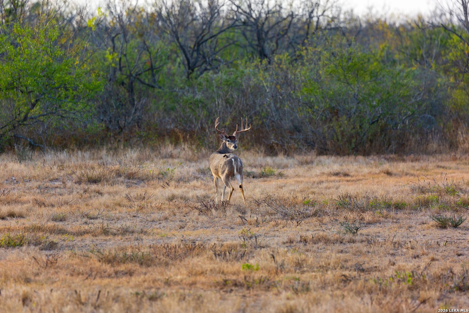Fm 1572 Highway 131 Spofford TX 78832