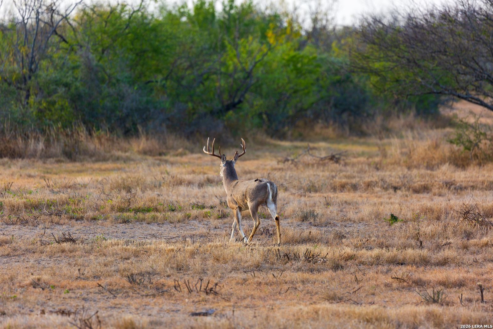 Fm 1572 Highway 131 Spofford TX 78832