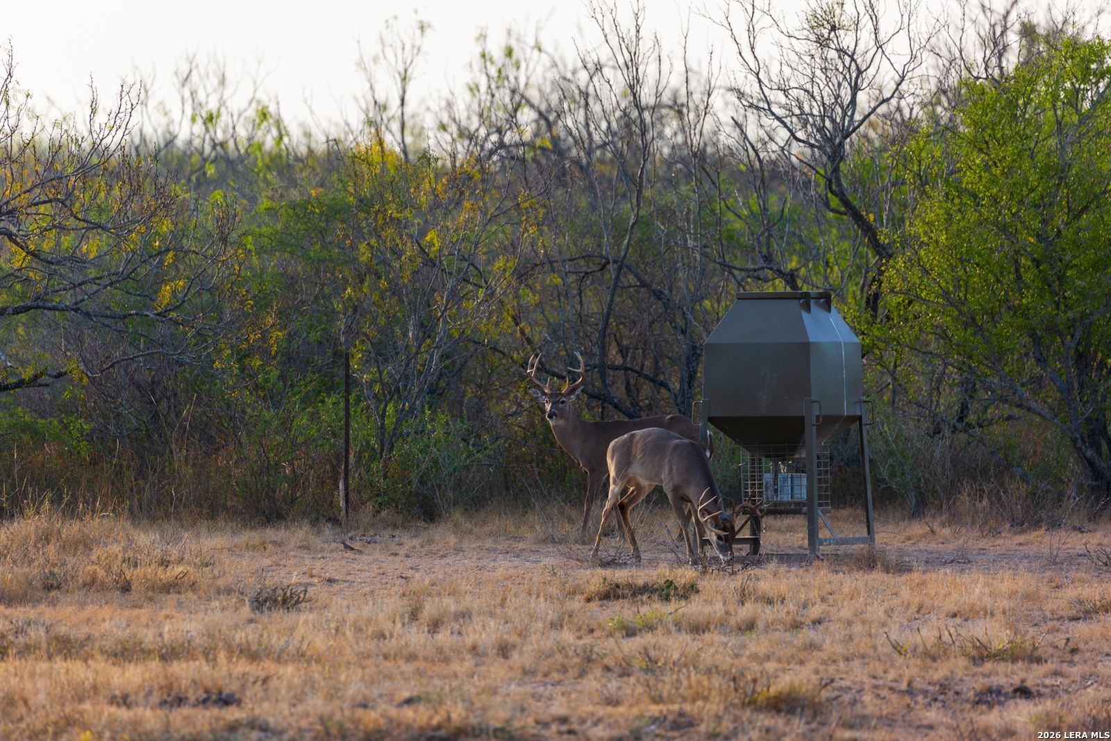 Fm 1572 Highway 131 Spofford TX 78832