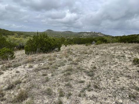 852 Crystal Peak Fischer TX 78623