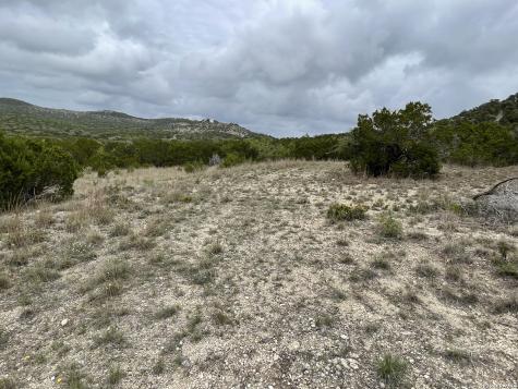 852 Crystal Peak Fischer TX 78623