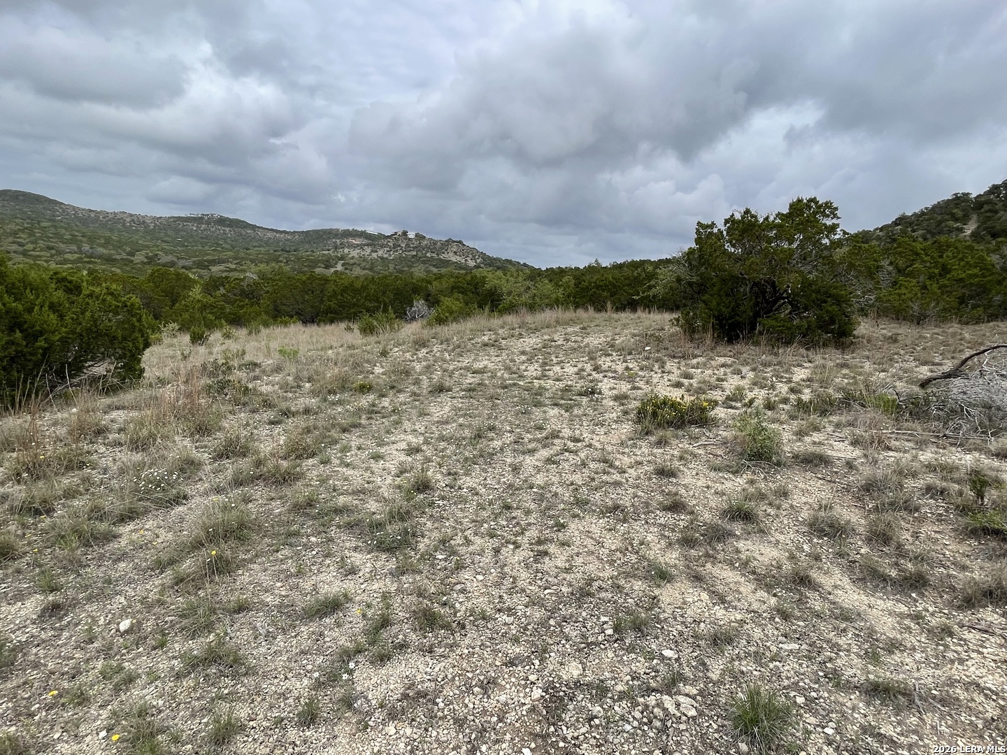 852 Crystal Peak Fischer TX 78623