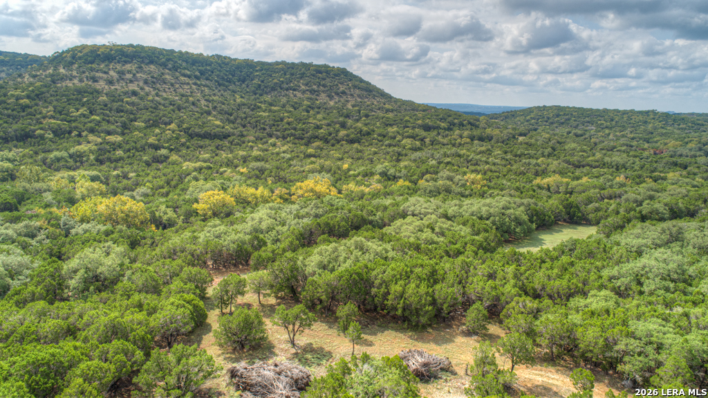 852 Crystal Peak Fischer TX 78623