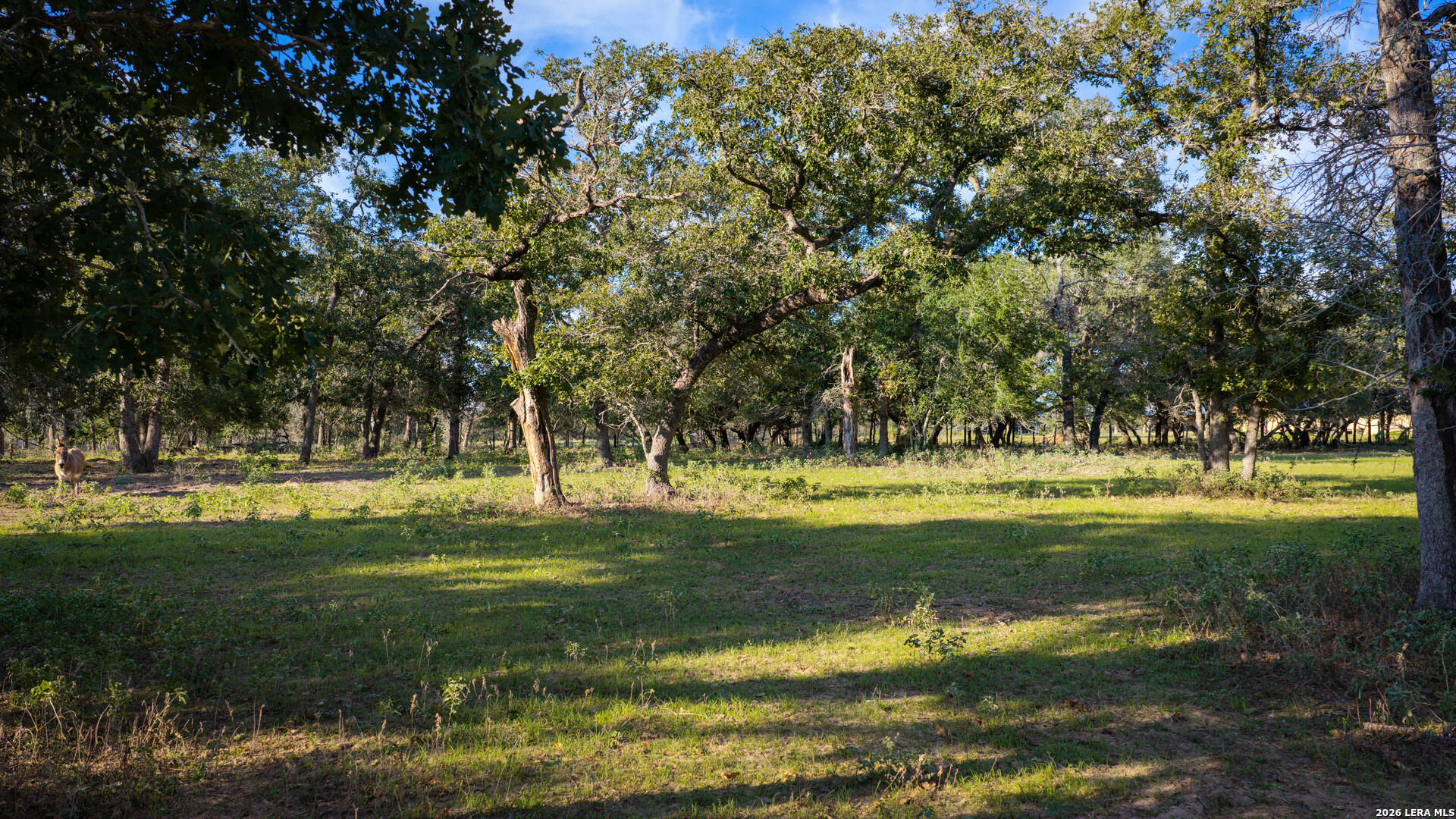 109 County Road 436 Stockdale TX 78160