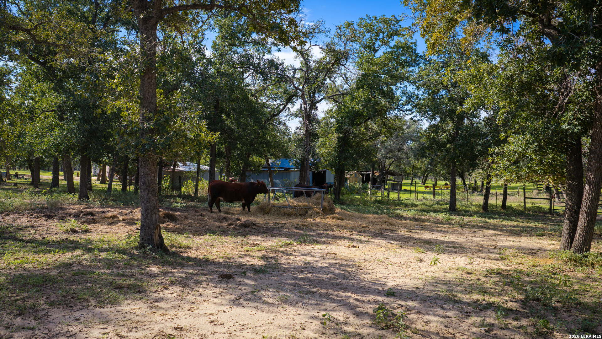 109 County Road 436 Stockdale TX 78160