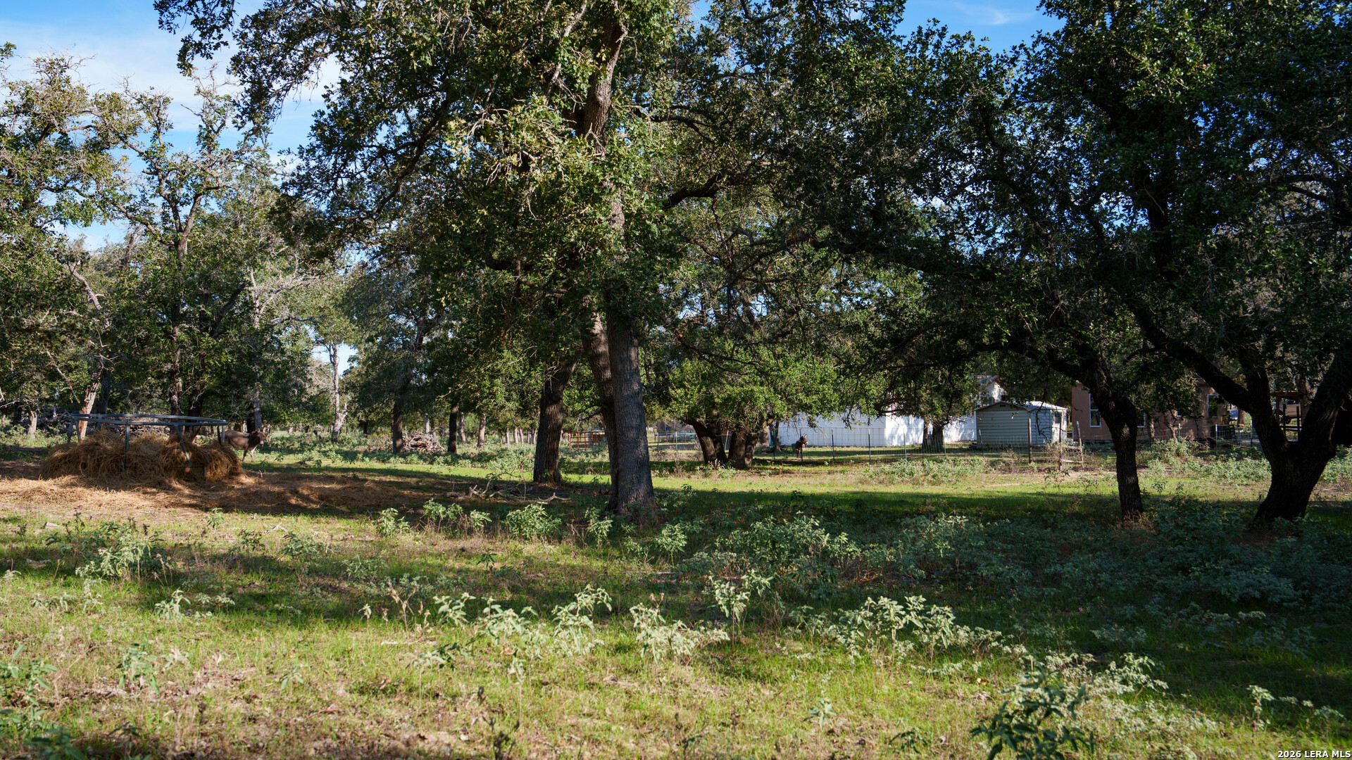 109 County Road 436 Stockdale TX 78160