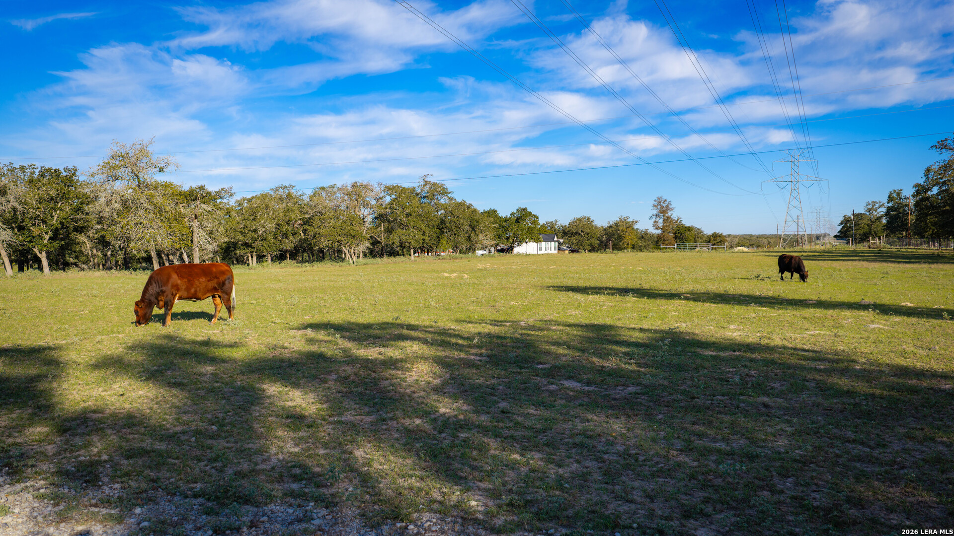109 County Road 436 Stockdale TX 78160