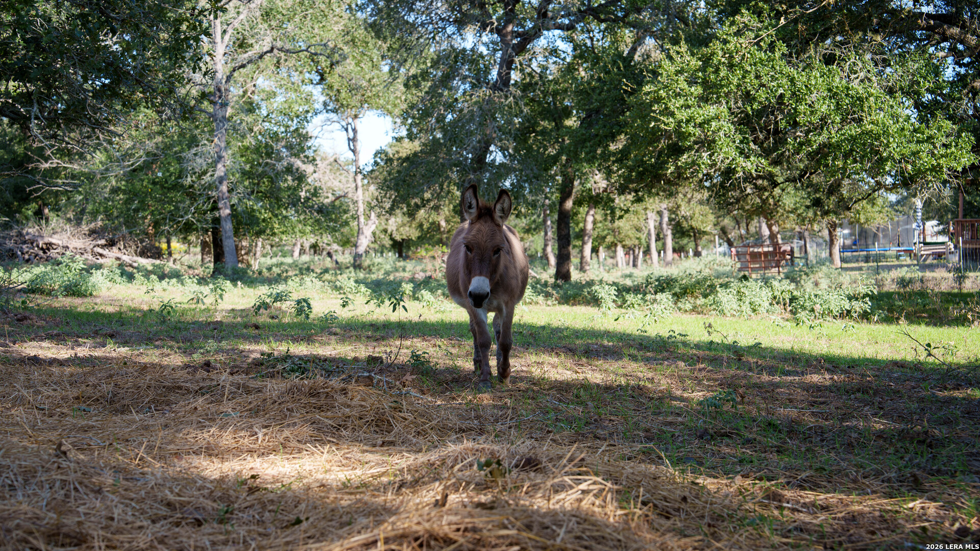 109 County Road 436 Stockdale TX 78160