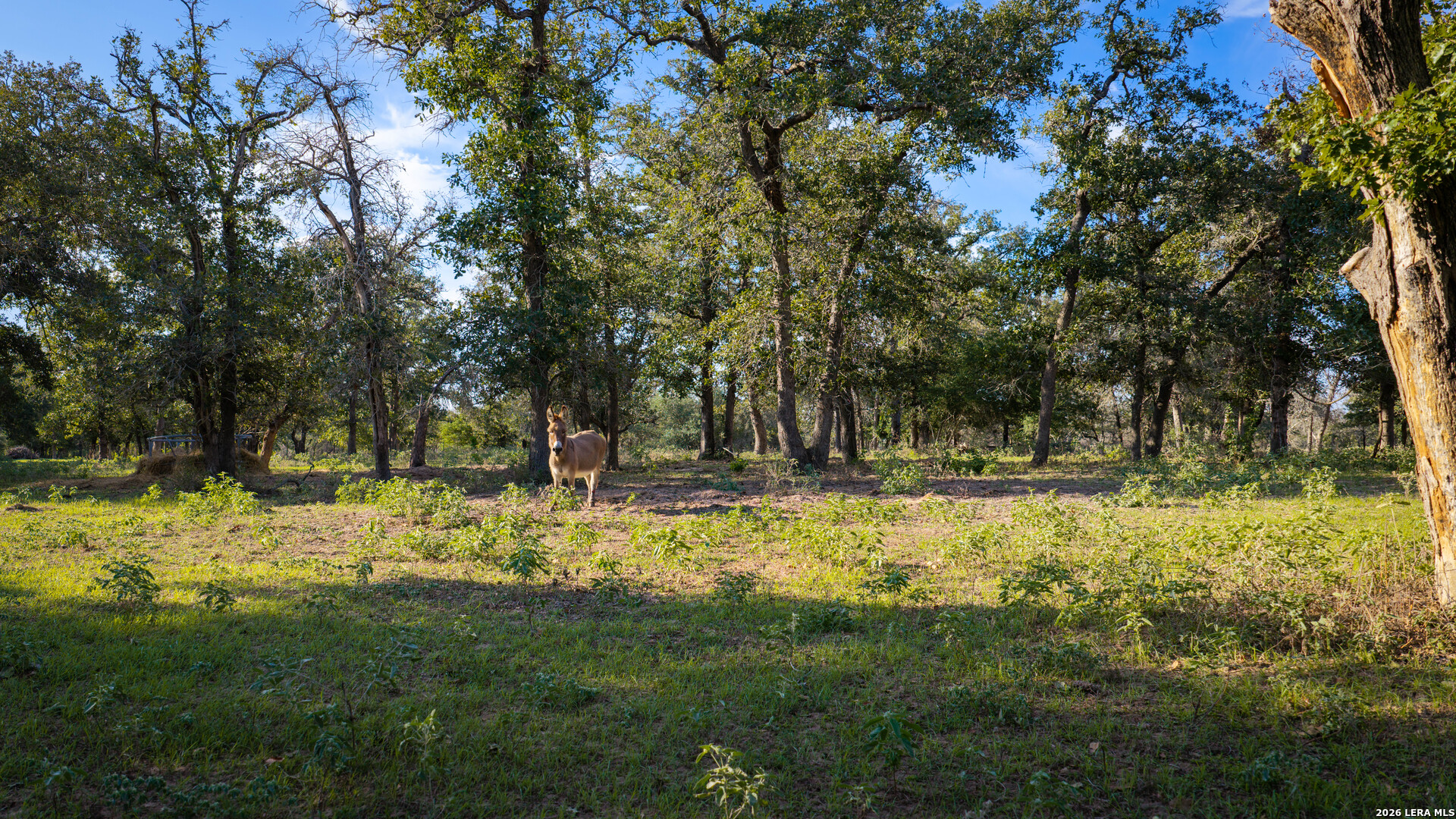 109 County Road 436 Stockdale TX 78160
