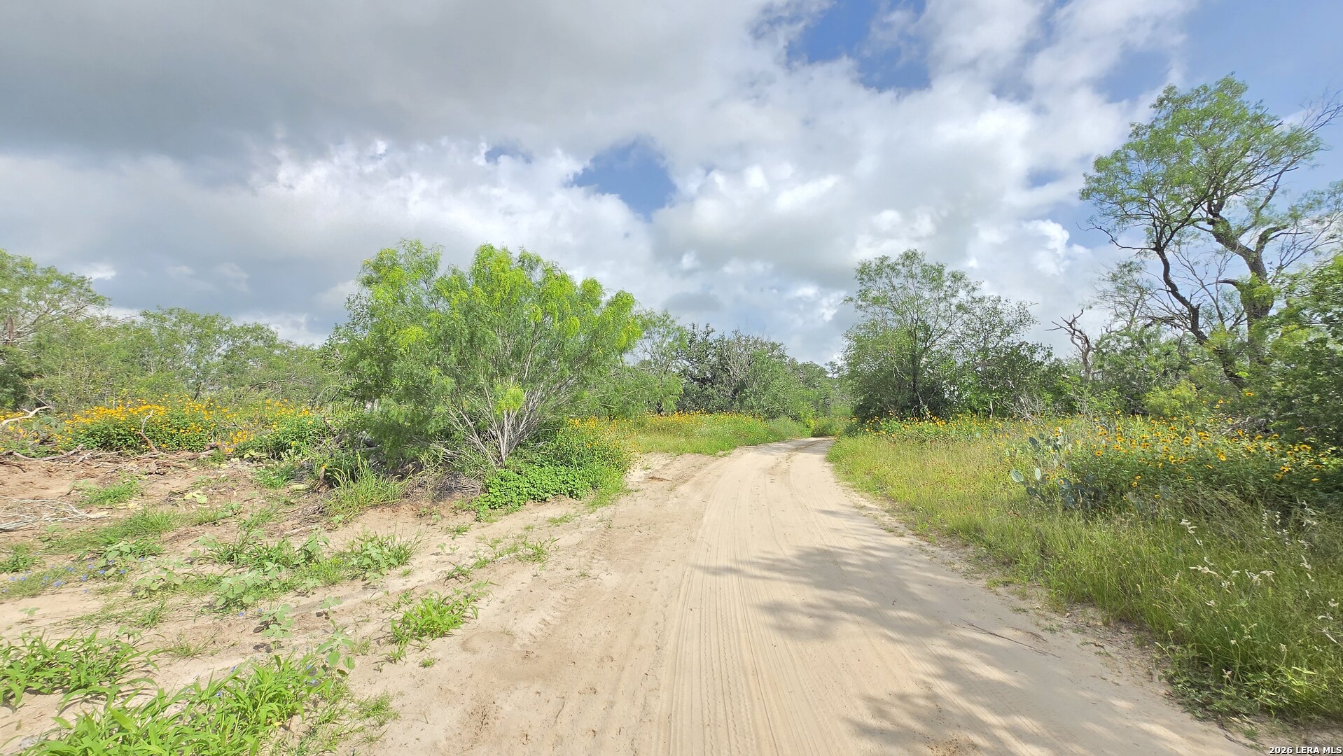 289 Zigmond Road Poteet TX 78065