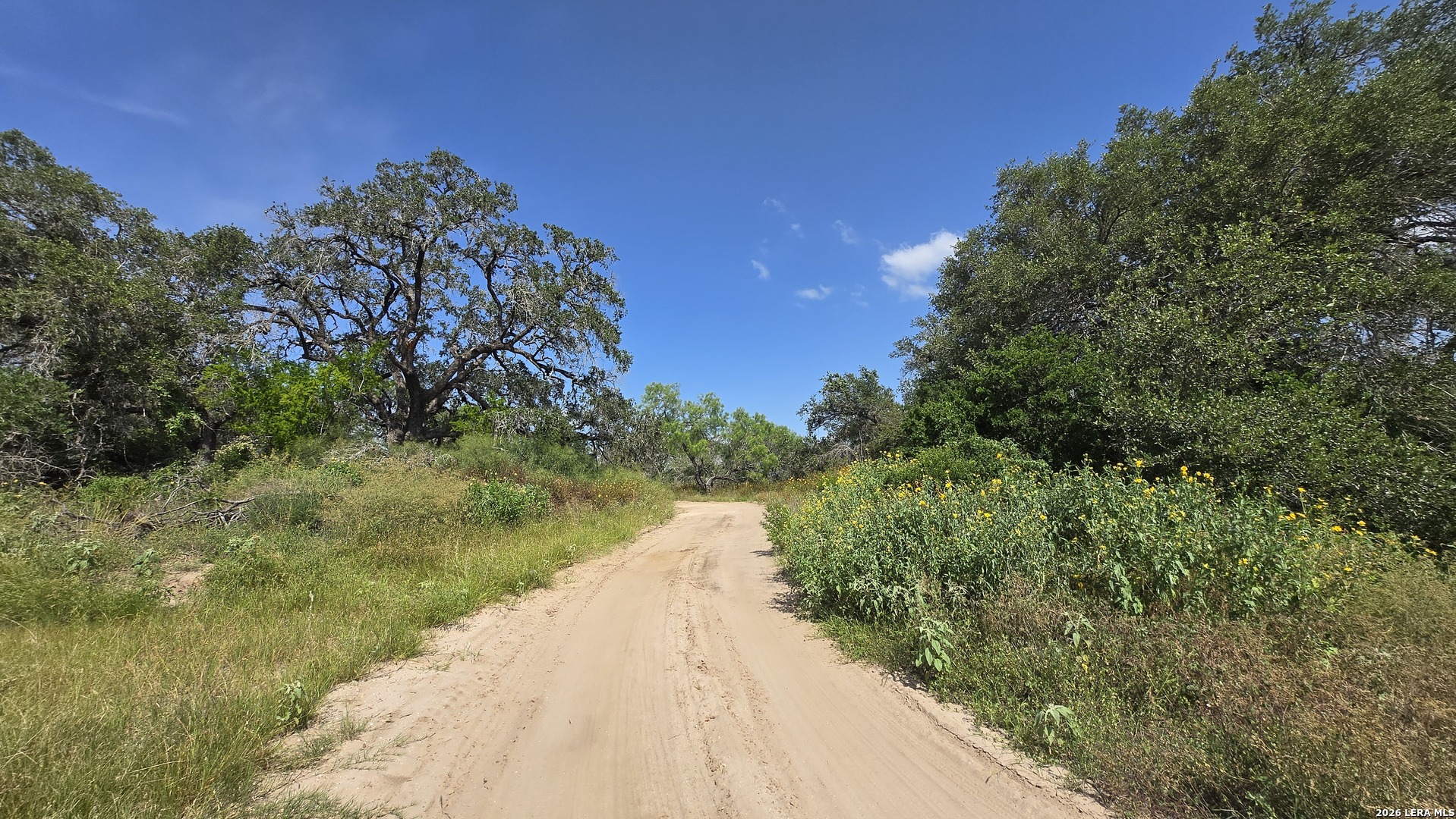 289 Zigmond Road Poteet TX 78065