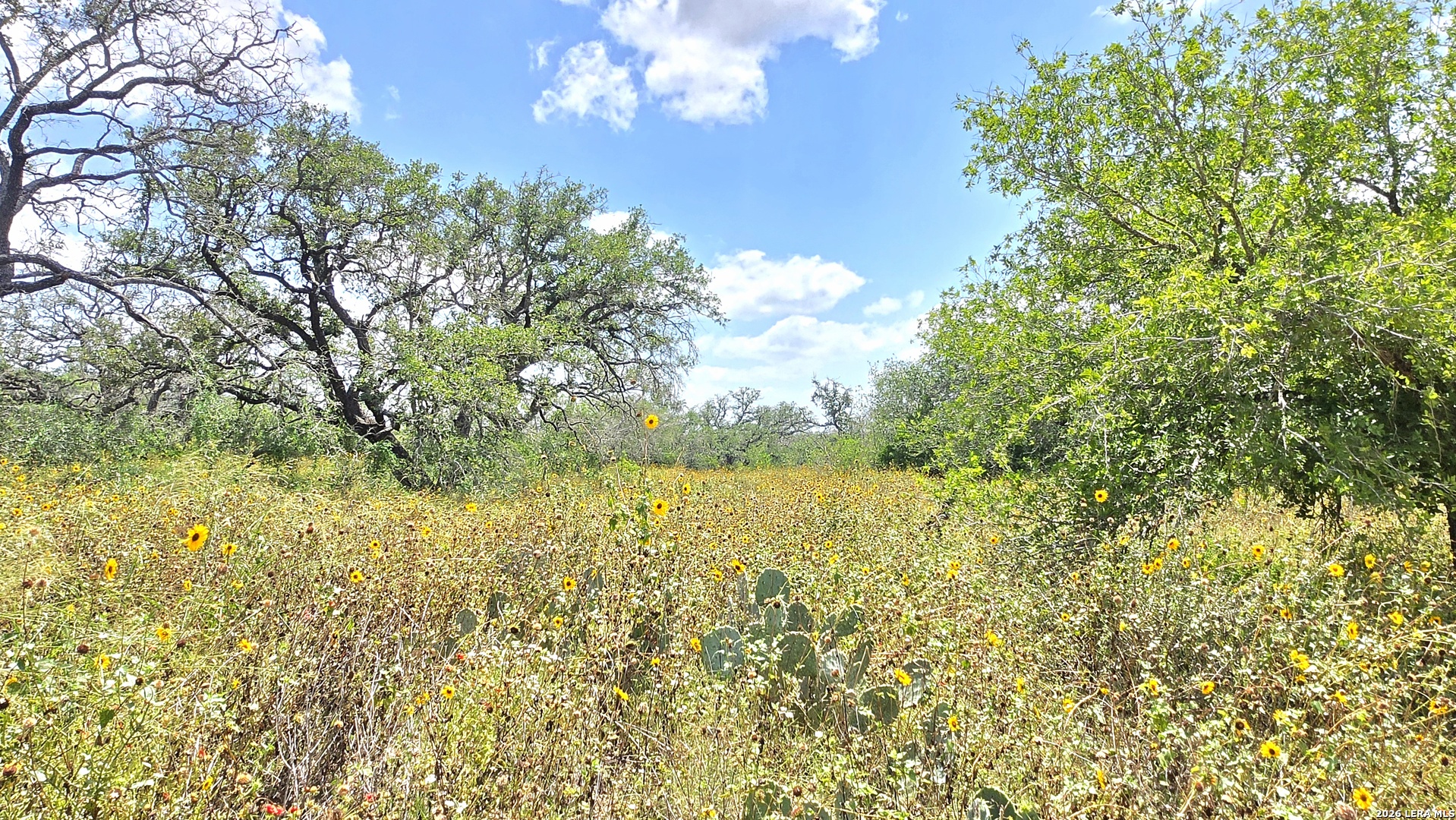 289 Zigmond Road Poteet TX 78065