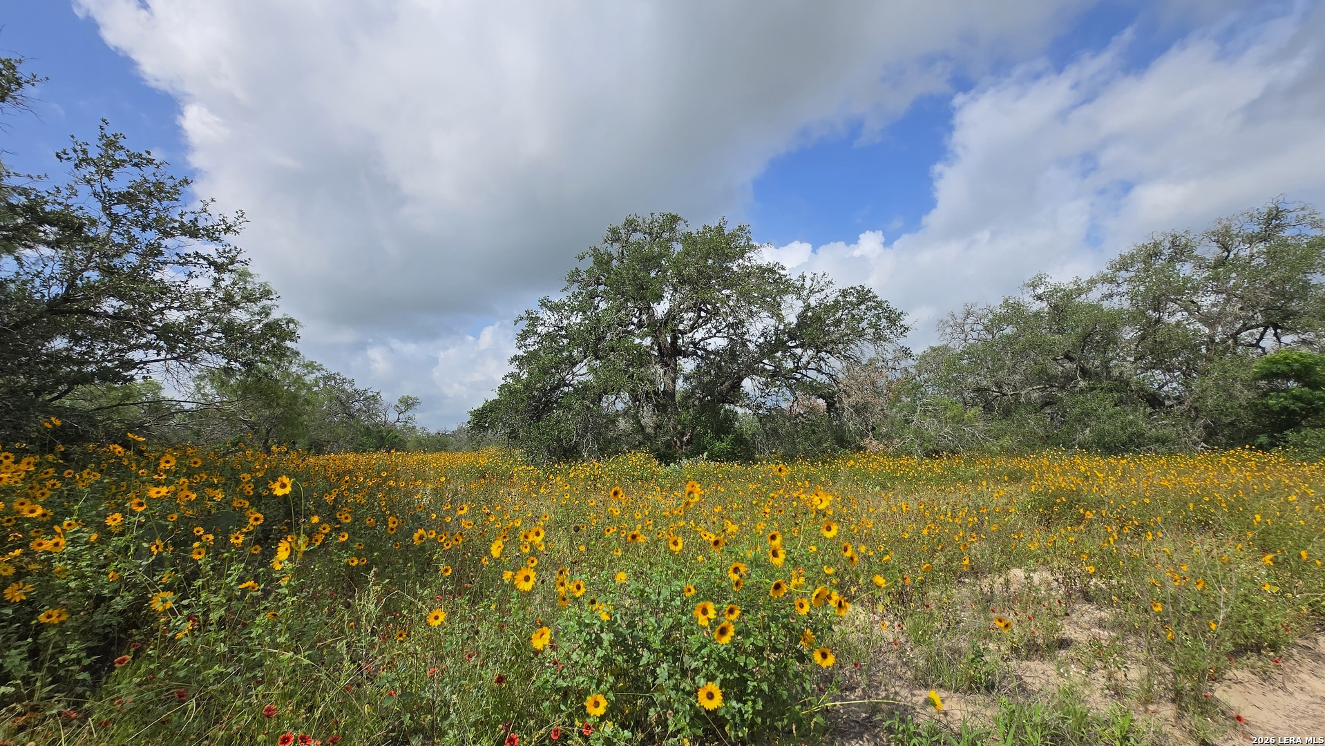 289 Zigmond Road Poteet TX 78065