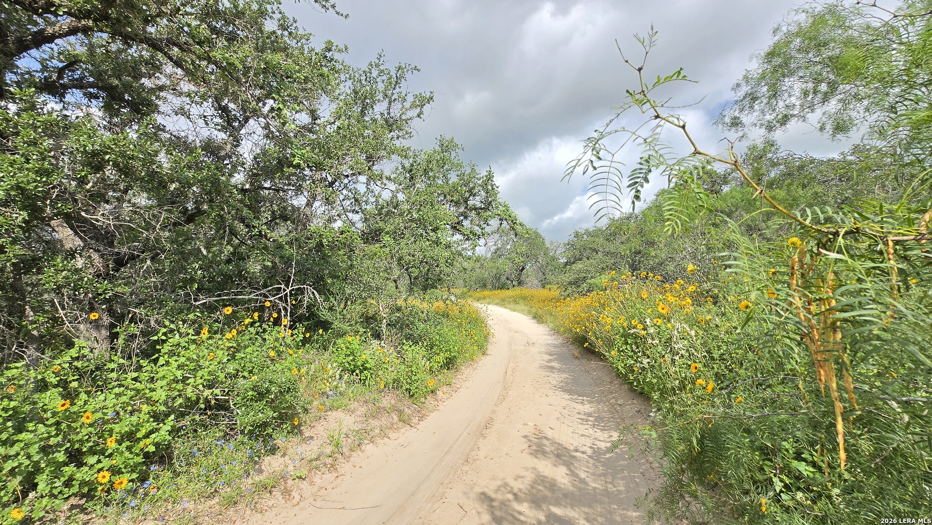 289 Zigmond Road Poteet TX 78065