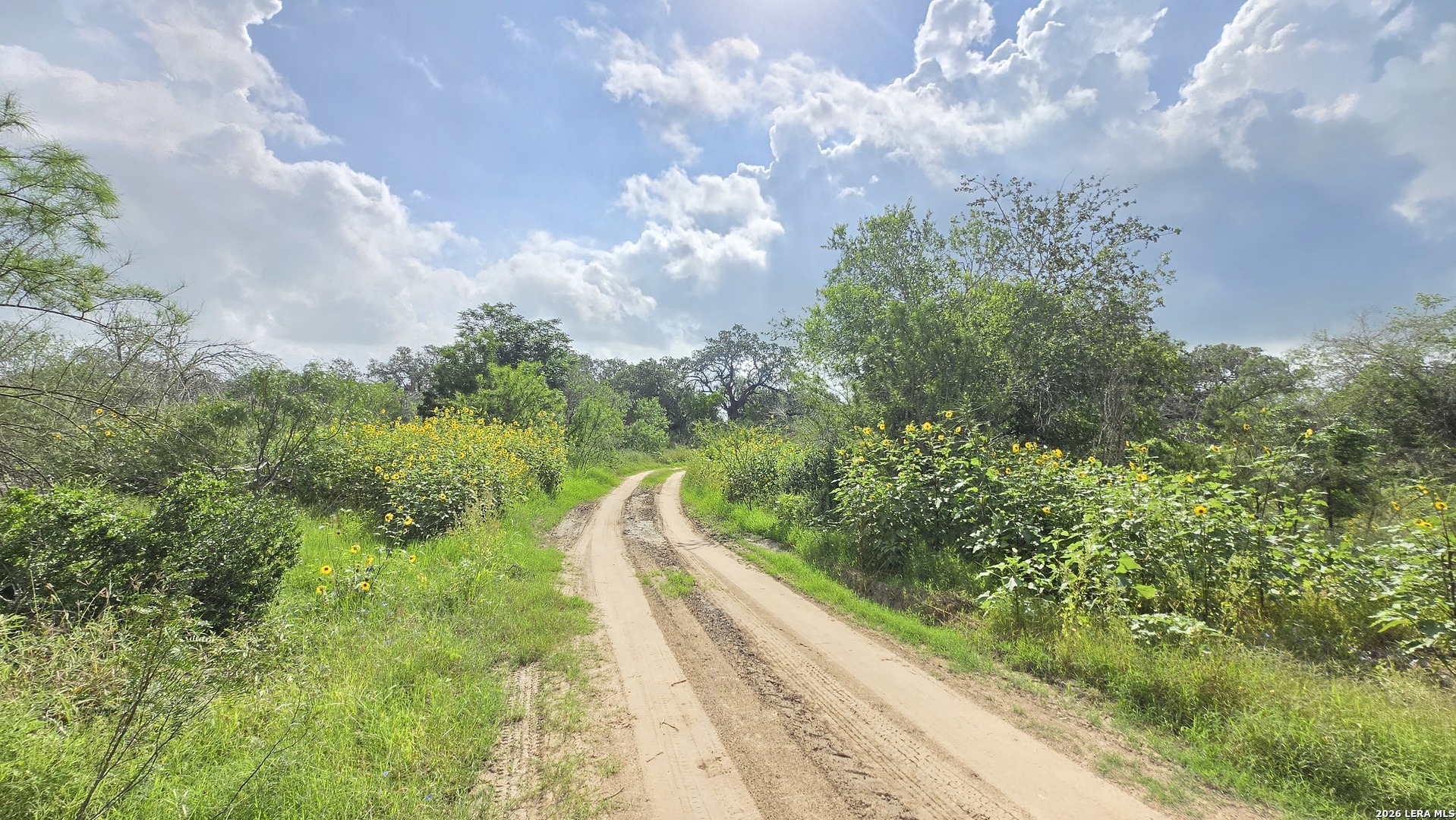 289 Zigmond Road Poteet TX 78065