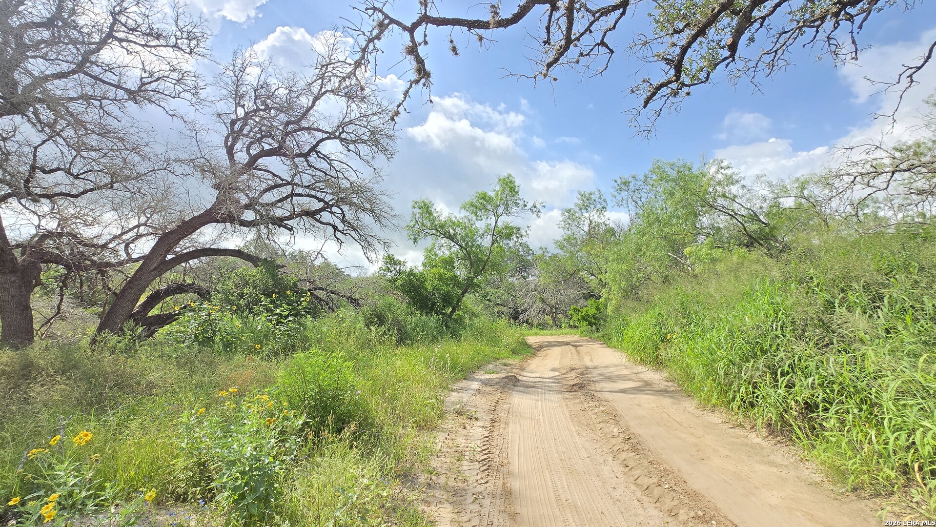 289 Zigmond Road Poteet TX 78065