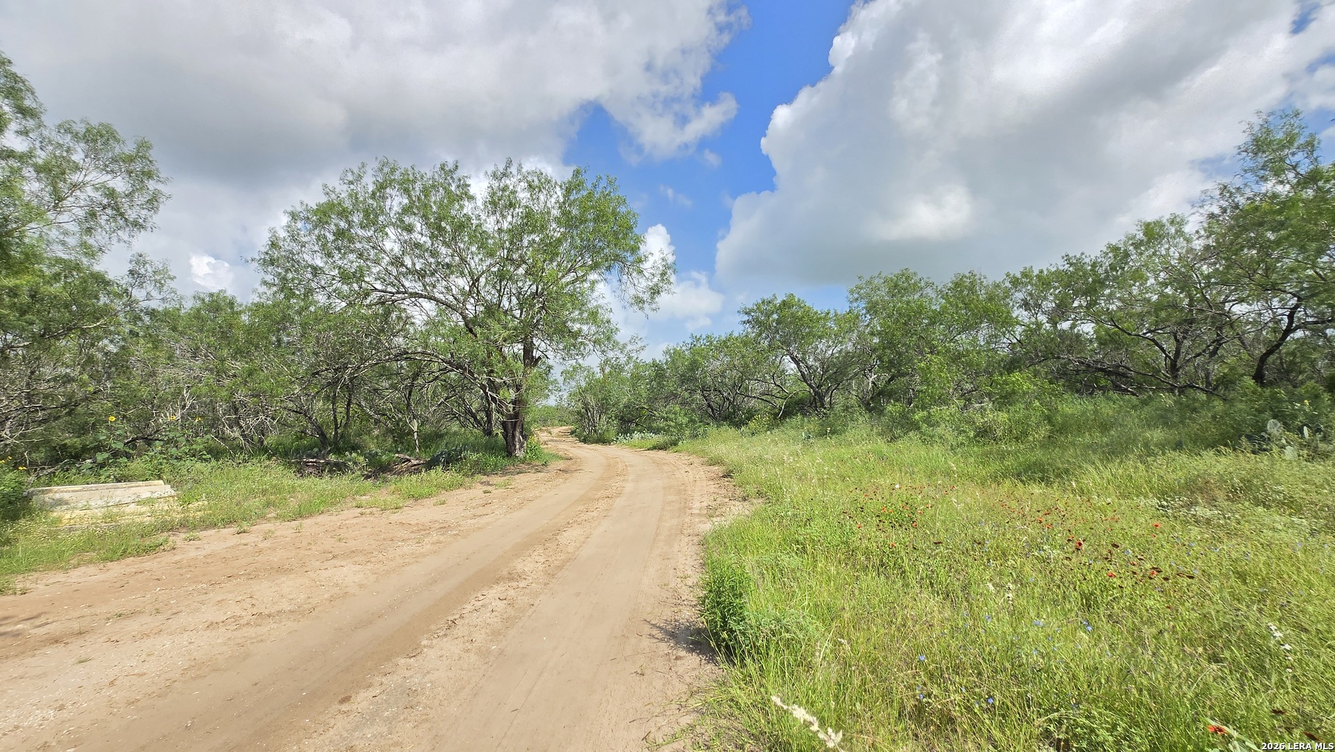 289 Zigmond Road Poteet TX 78065
