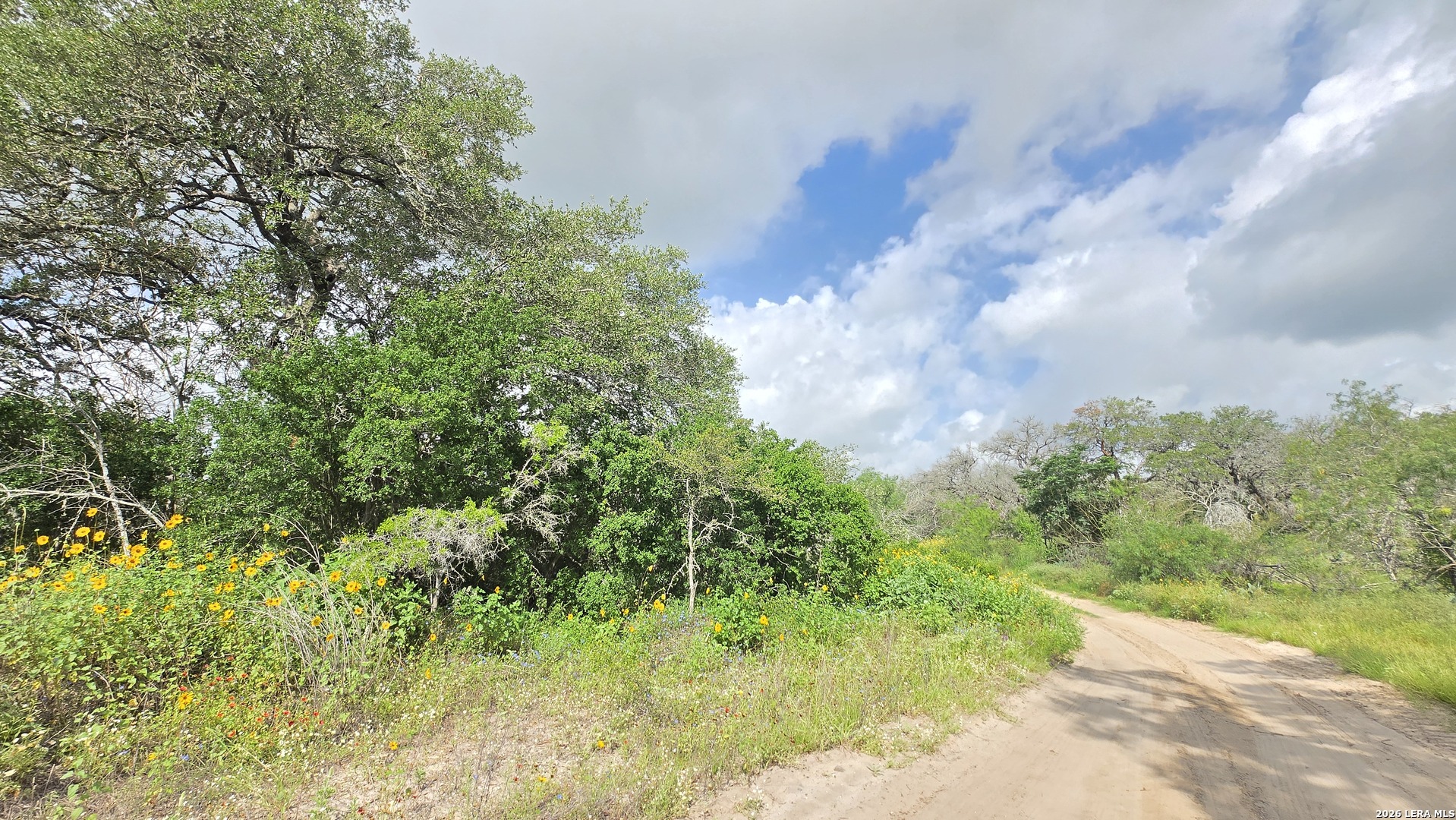 289 Zigmond Road Poteet TX 78065
