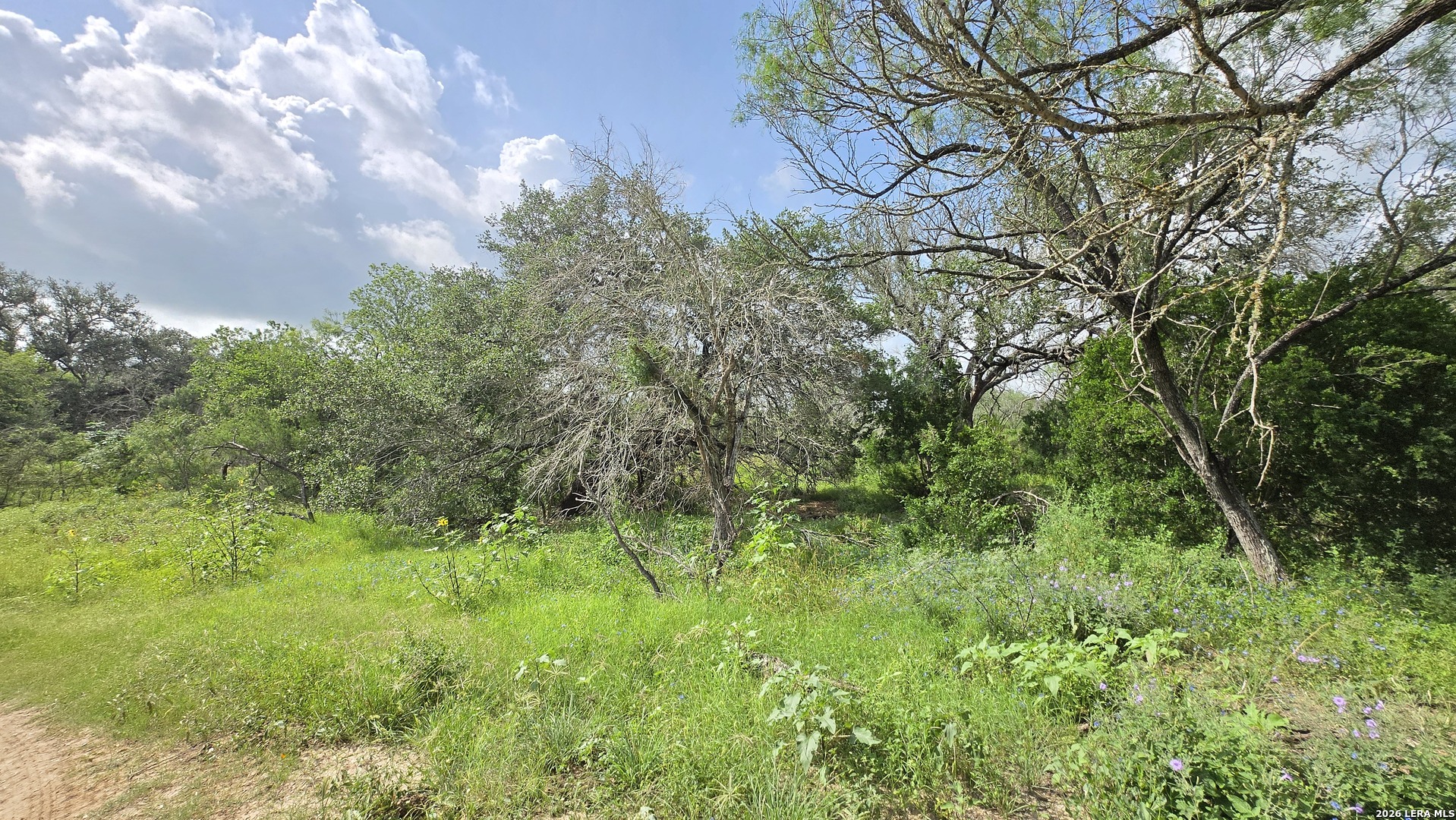 289 Zigmond Road Poteet TX 78065