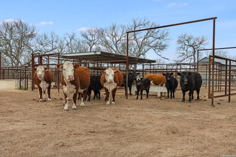 228 County Road 454 Stockdale TX 78160