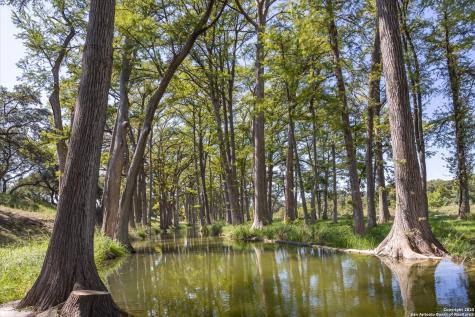 211 Bear Creek Kerrville TX 78028