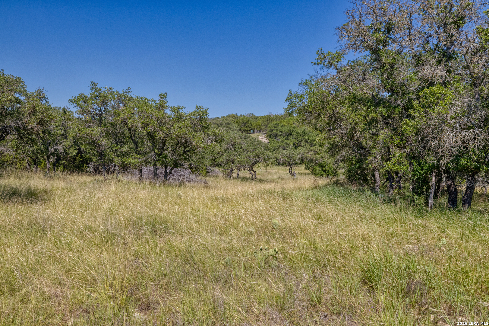 932 Wofford Road London TX 76854