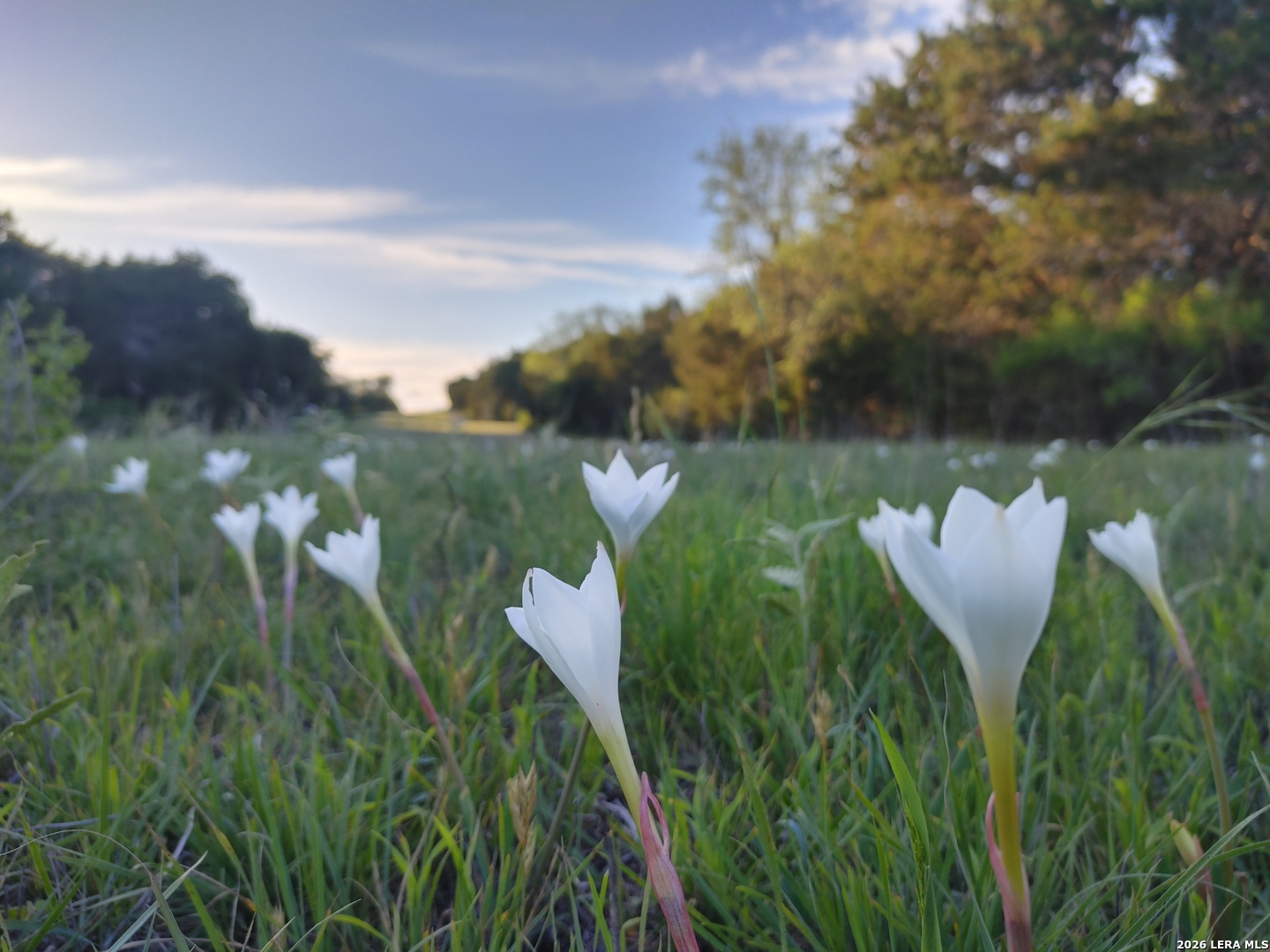 300 N Peterson Farm Road Kerrville TX 78028