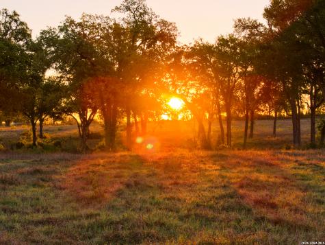 5098 S Fm 486 Thorndale TX 76577
