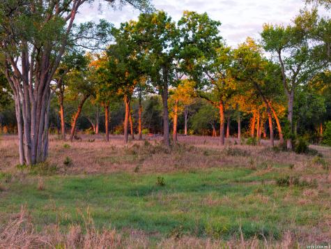 5098 S Fm 486 Thorndale TX 76577